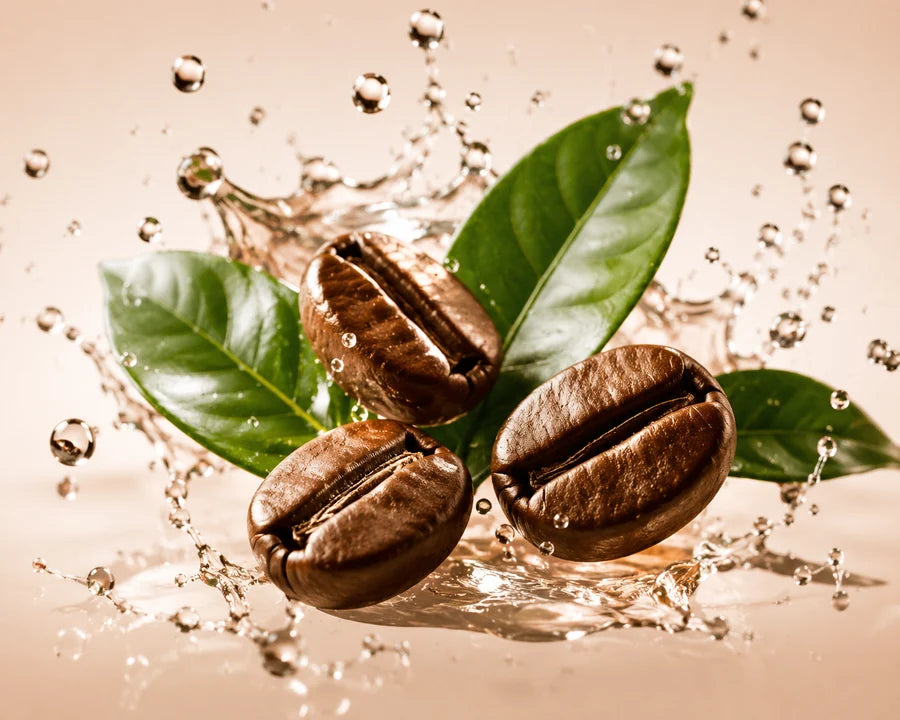Koffein